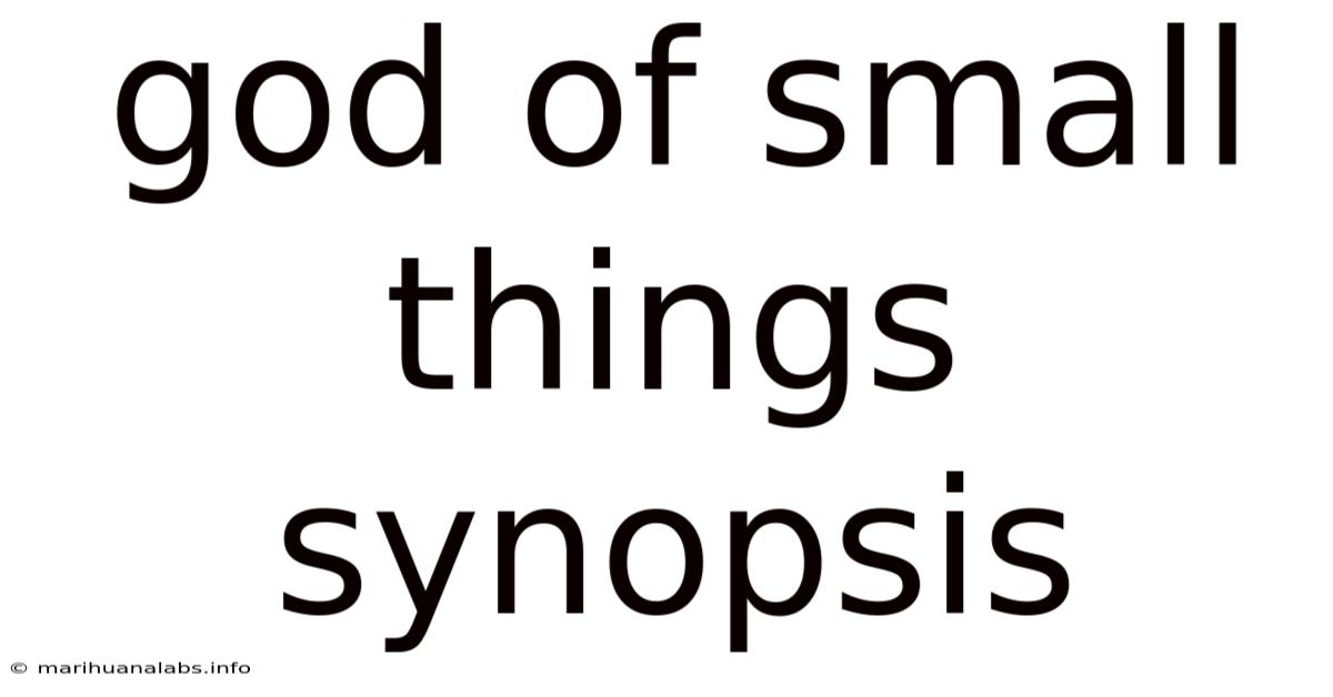 God Of Small Things Synopsis