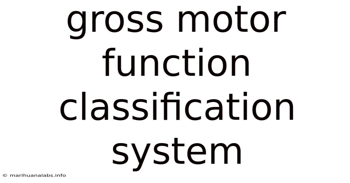 Gross Motor Function Classification System