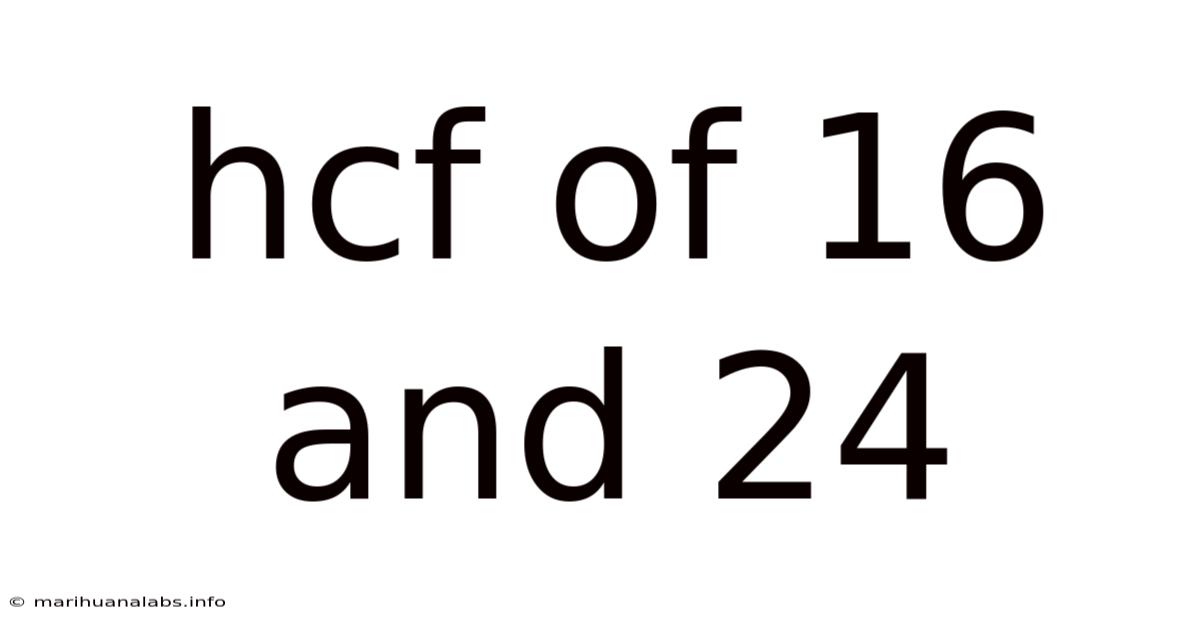 Hcf Of 16 And 24