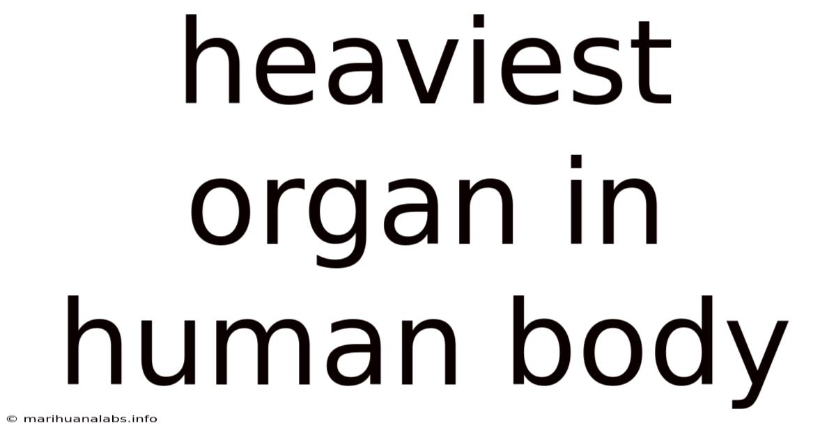Heaviest Organ In Human Body