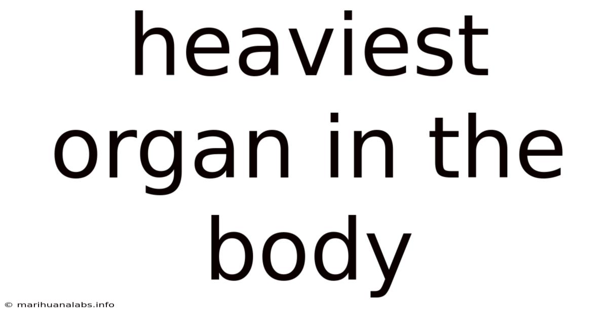 Heaviest Organ In The Body
