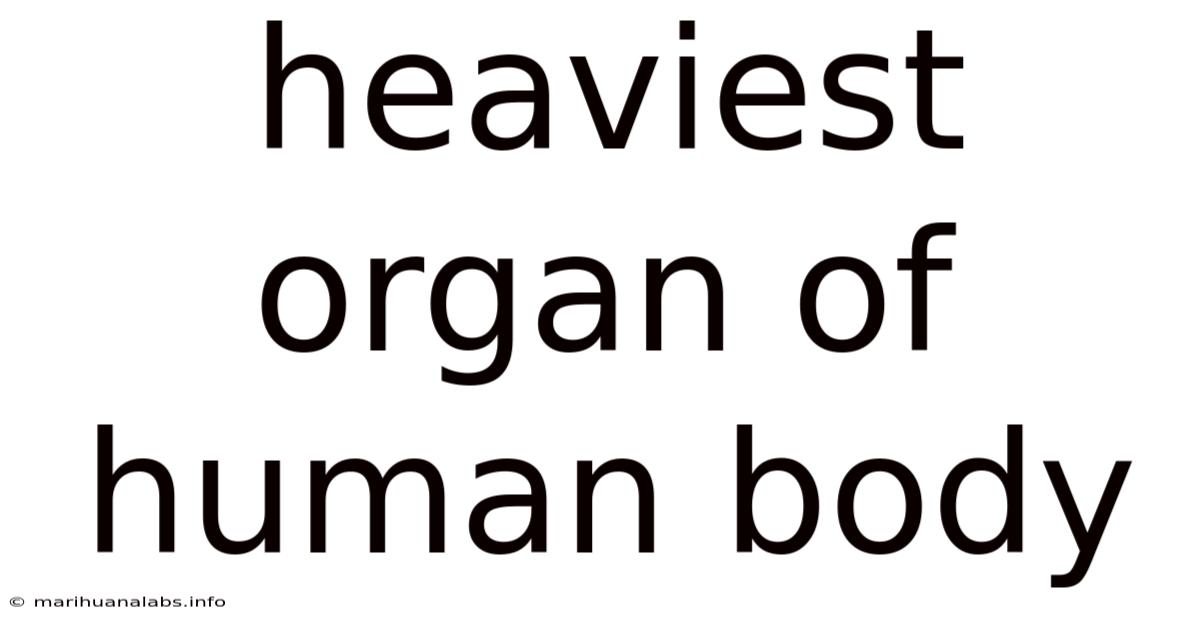 Heaviest Organ Of Human Body