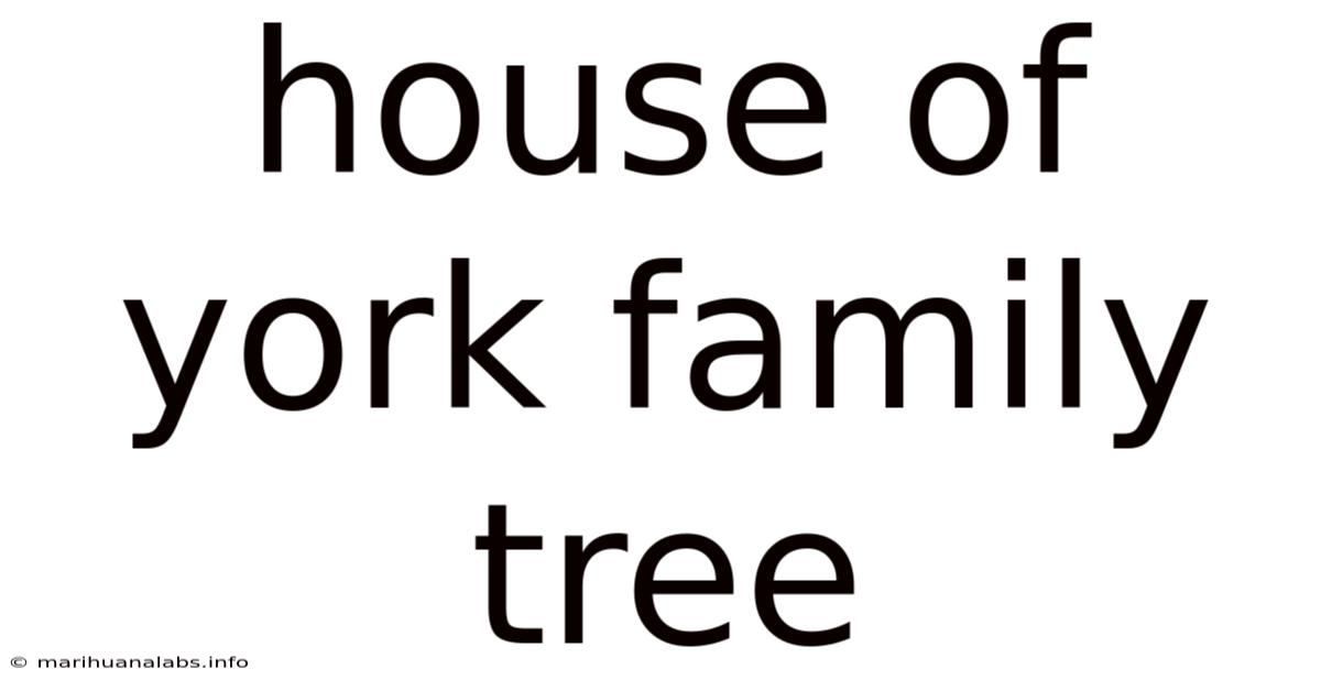 House Of York Family Tree