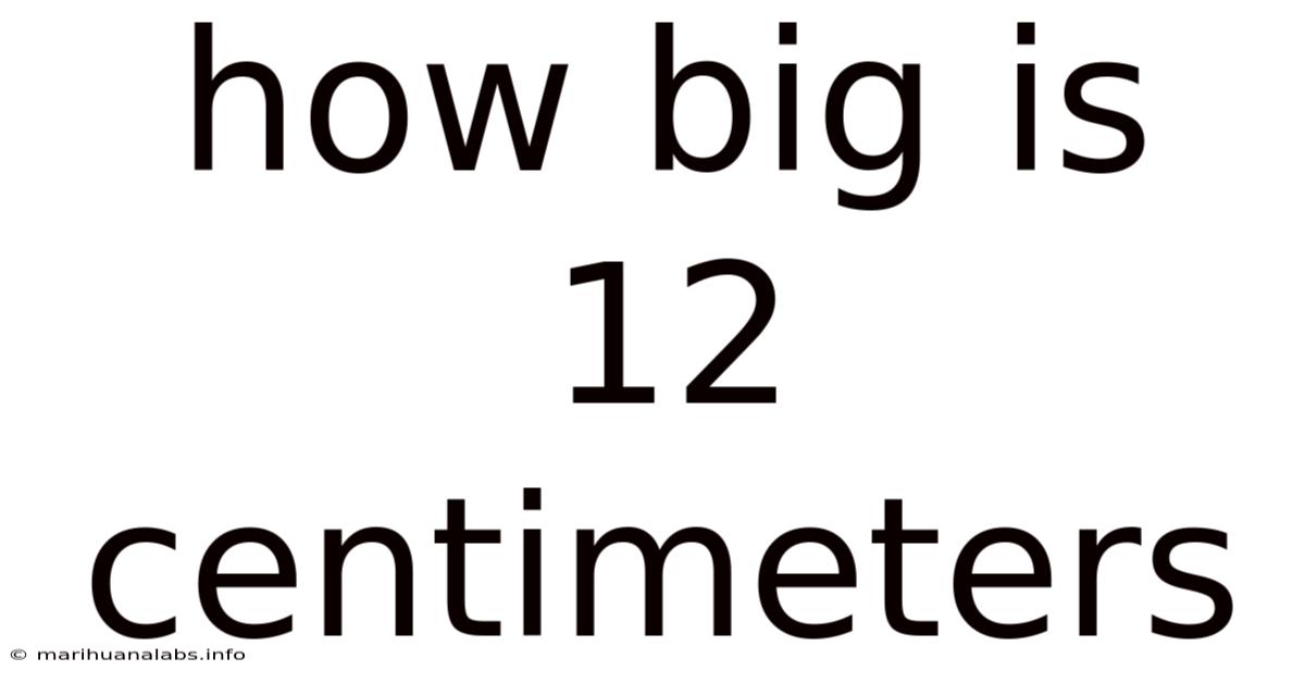 How Big Is 12 Centimeters