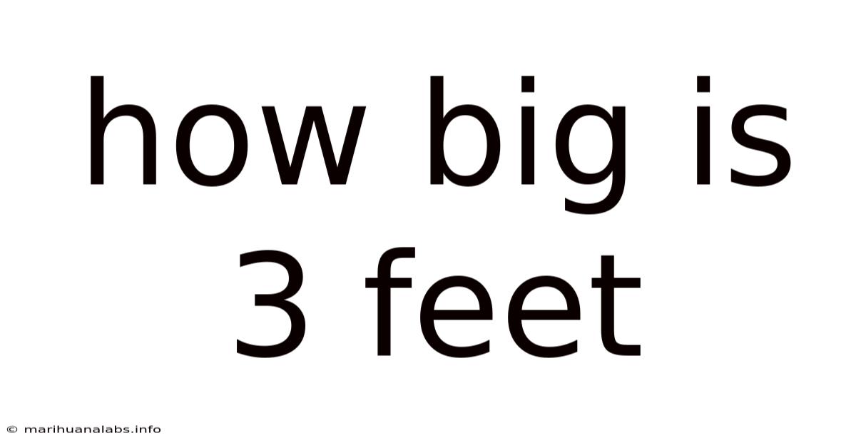 How Big Is 3 Feet