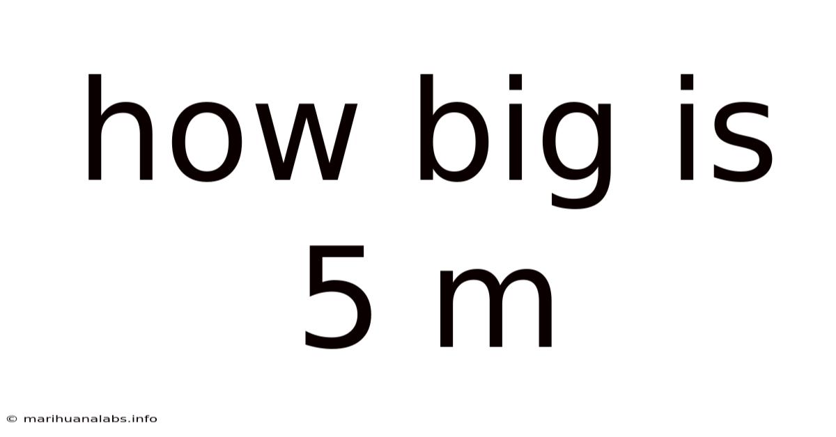 How Big Is 5 M