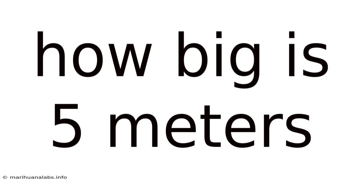 How Big Is 5 Meters