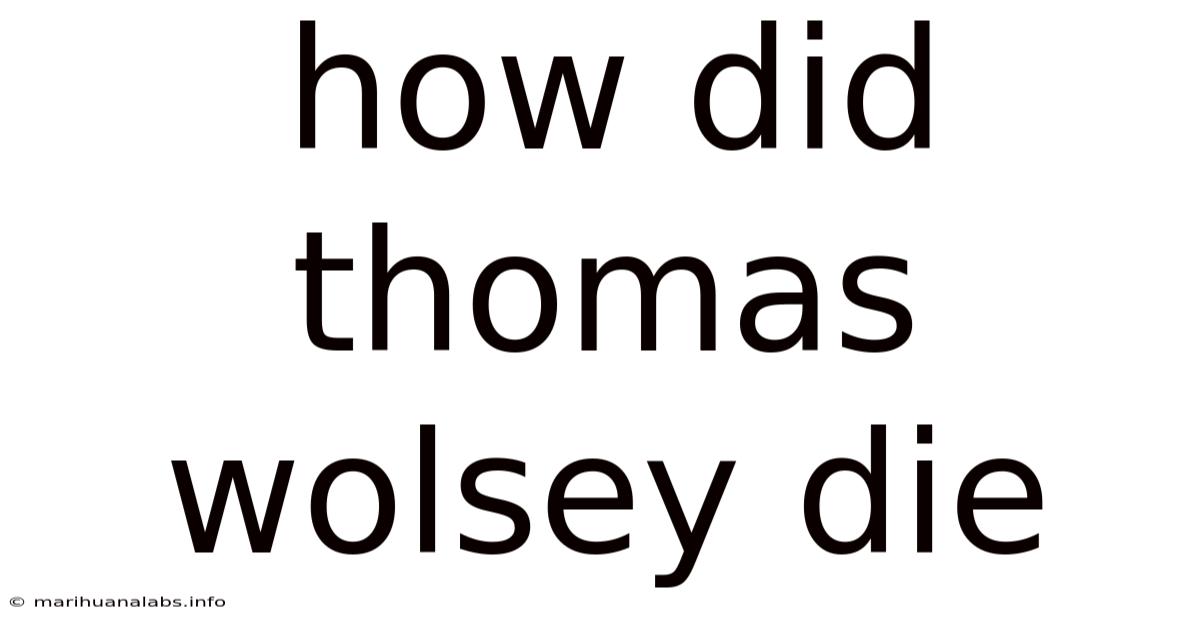 How Did Thomas Wolsey Die