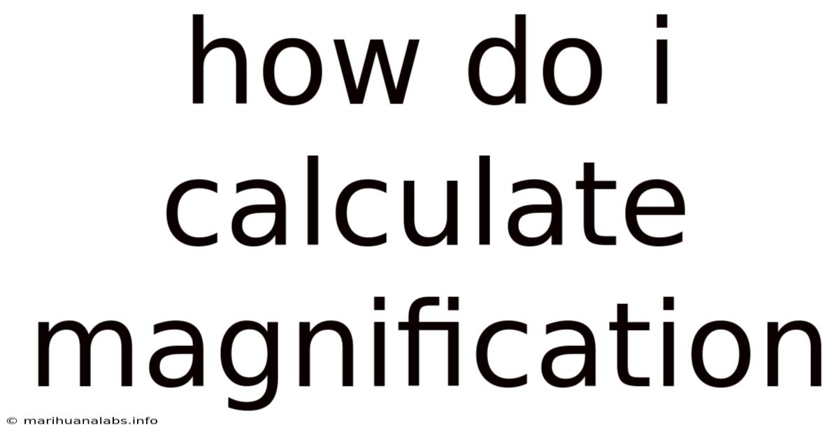 How Do I Calculate Magnification