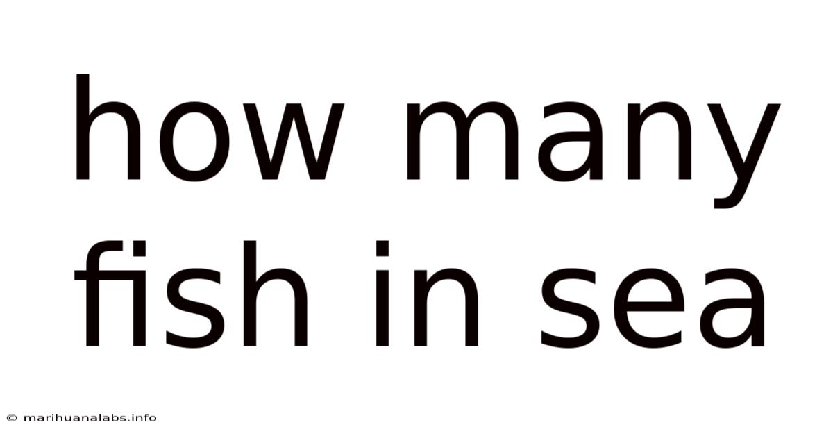 How Many Fish In Sea