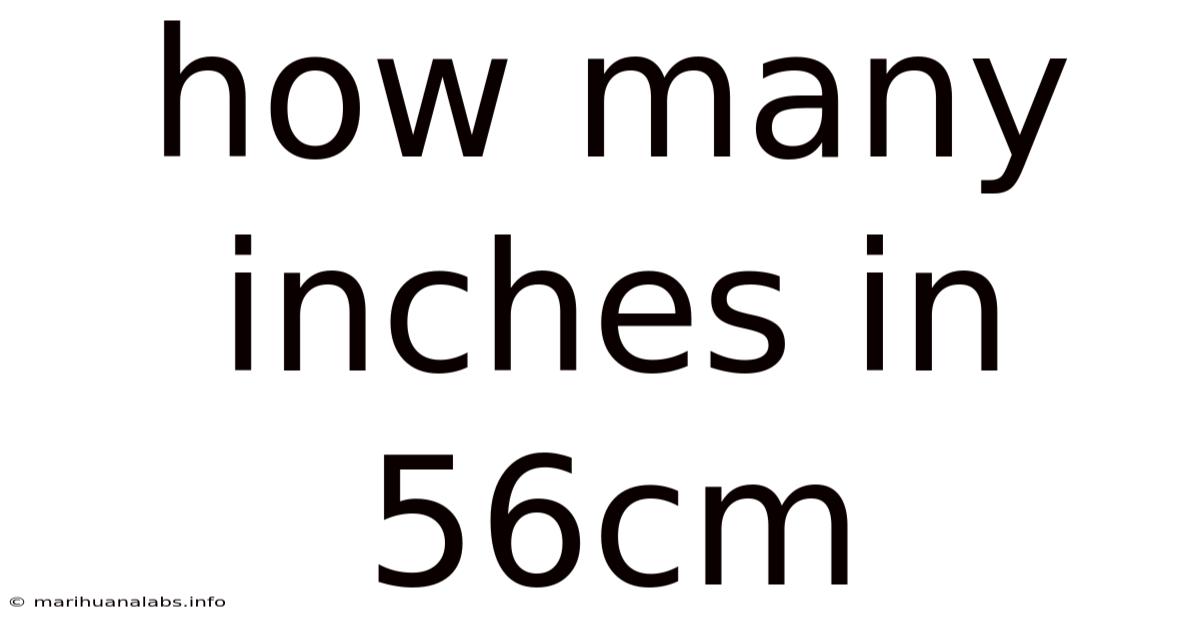 How Many Inches In 56cm