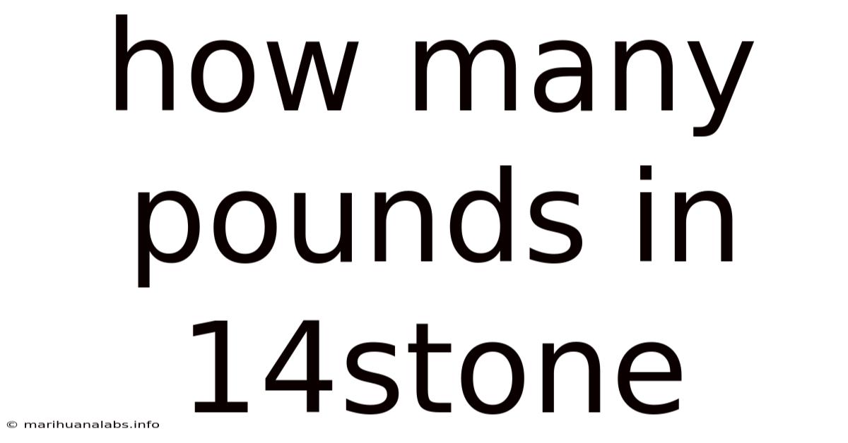 How Many Pounds In 14stone