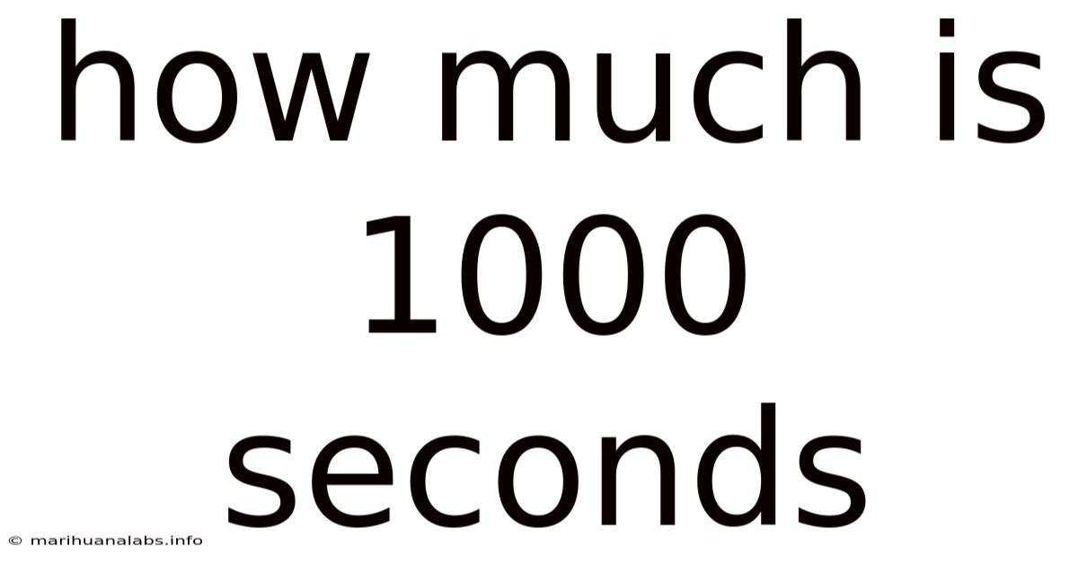 How Much Is 1000 Seconds