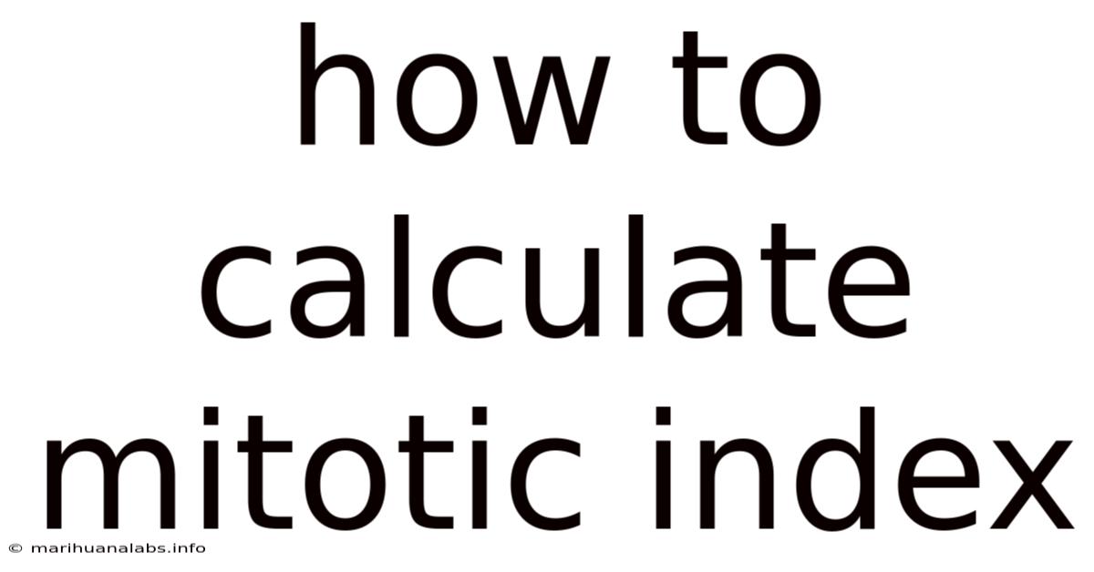 How To Calculate Mitotic Index
