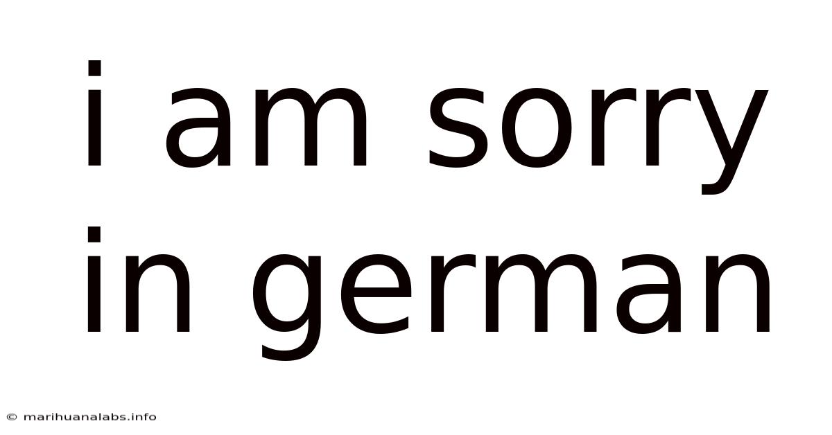 I Am Sorry In German