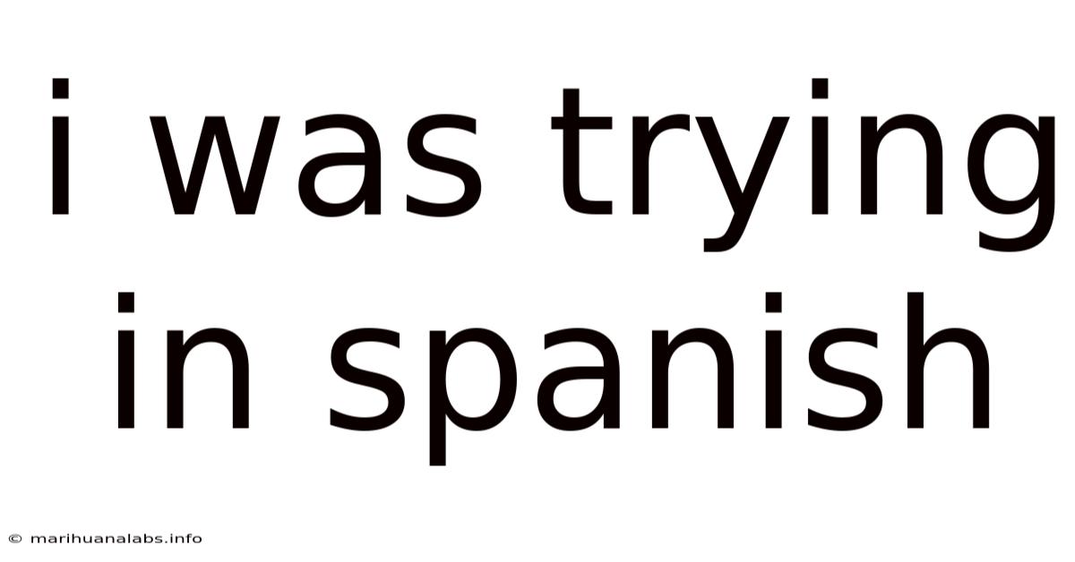 I Was Trying In Spanish