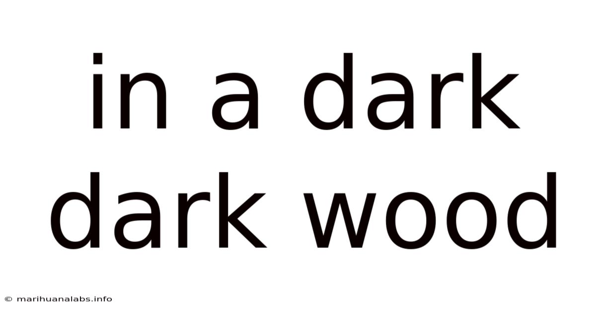 In A Dark Dark Wood
