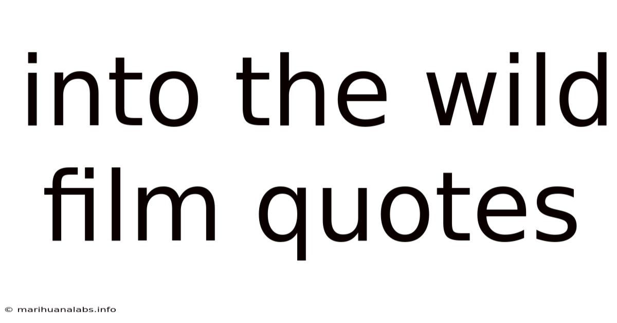 Into The Wild Film Quotes