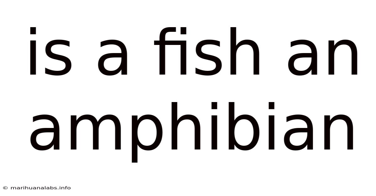 Is A Fish An Amphibian