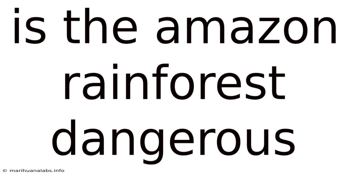 Is The Amazon Rainforest Dangerous