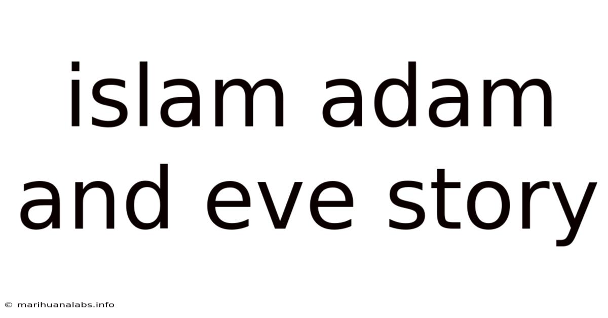 Islam Adam And Eve Story
