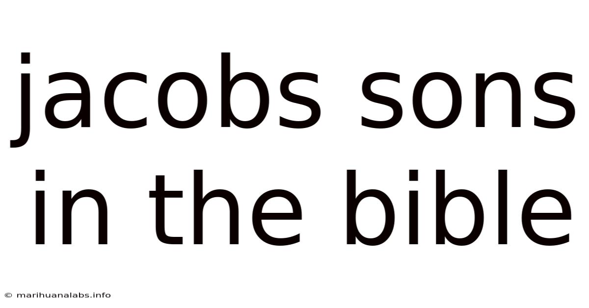 Jacobs Sons In The Bible