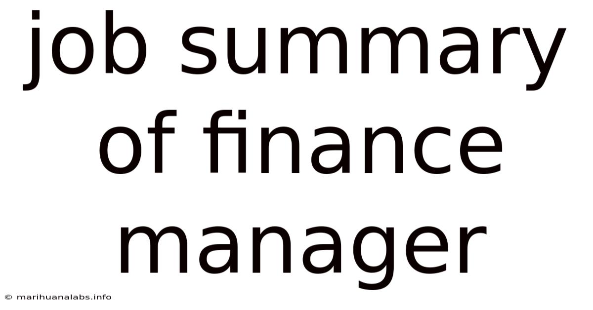 Job Summary Of Finance Manager