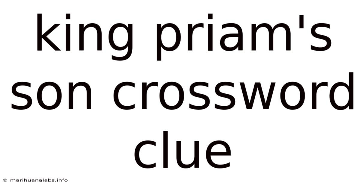 King Priam's Son Crossword Clue