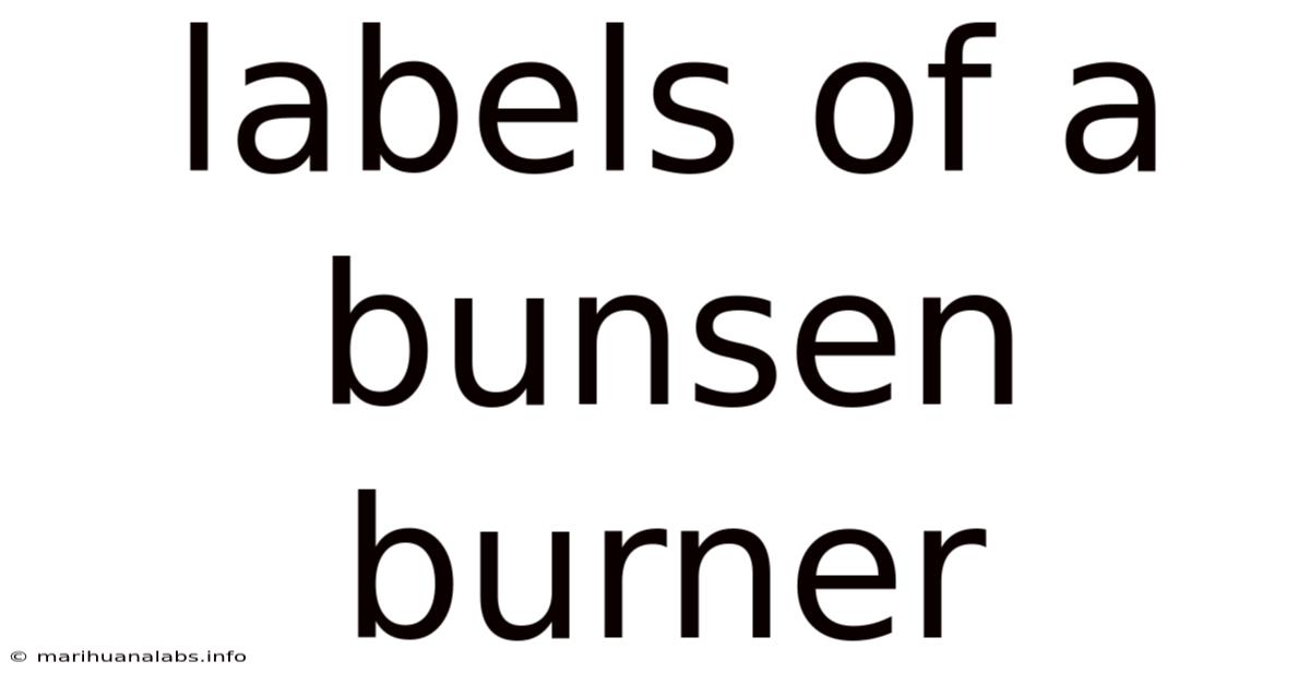 Labels Of A Bunsen Burner