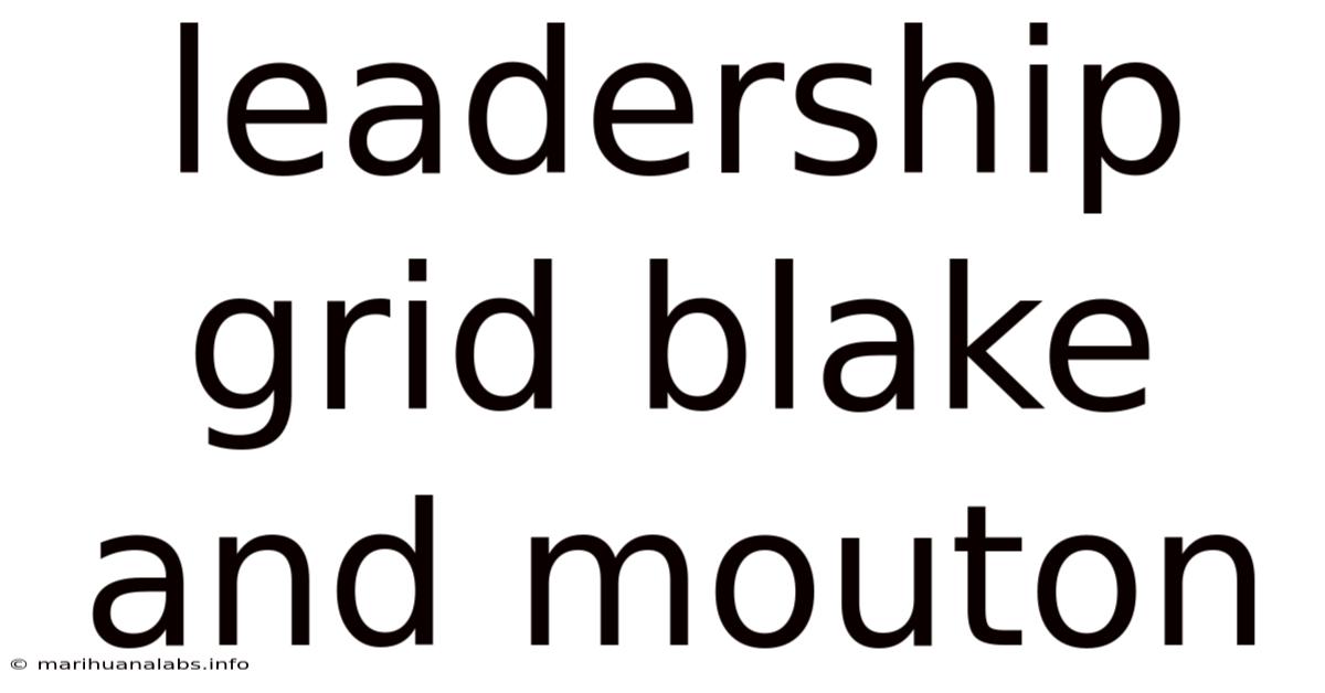 Leadership Grid Blake And Mouton