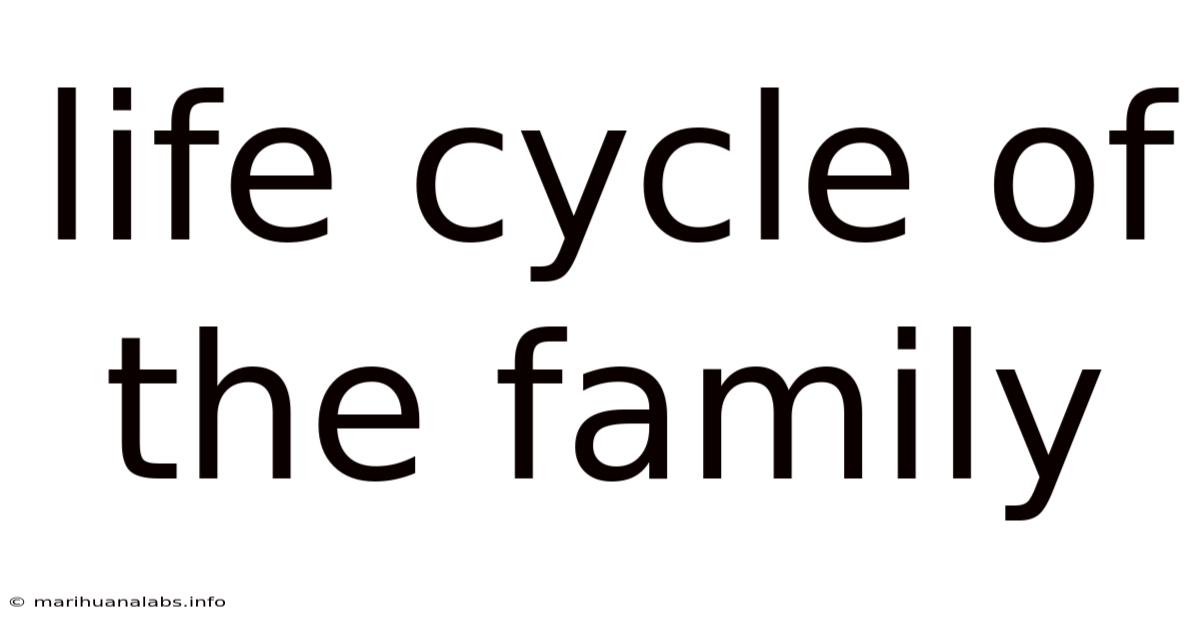 Life Cycle Of The Family