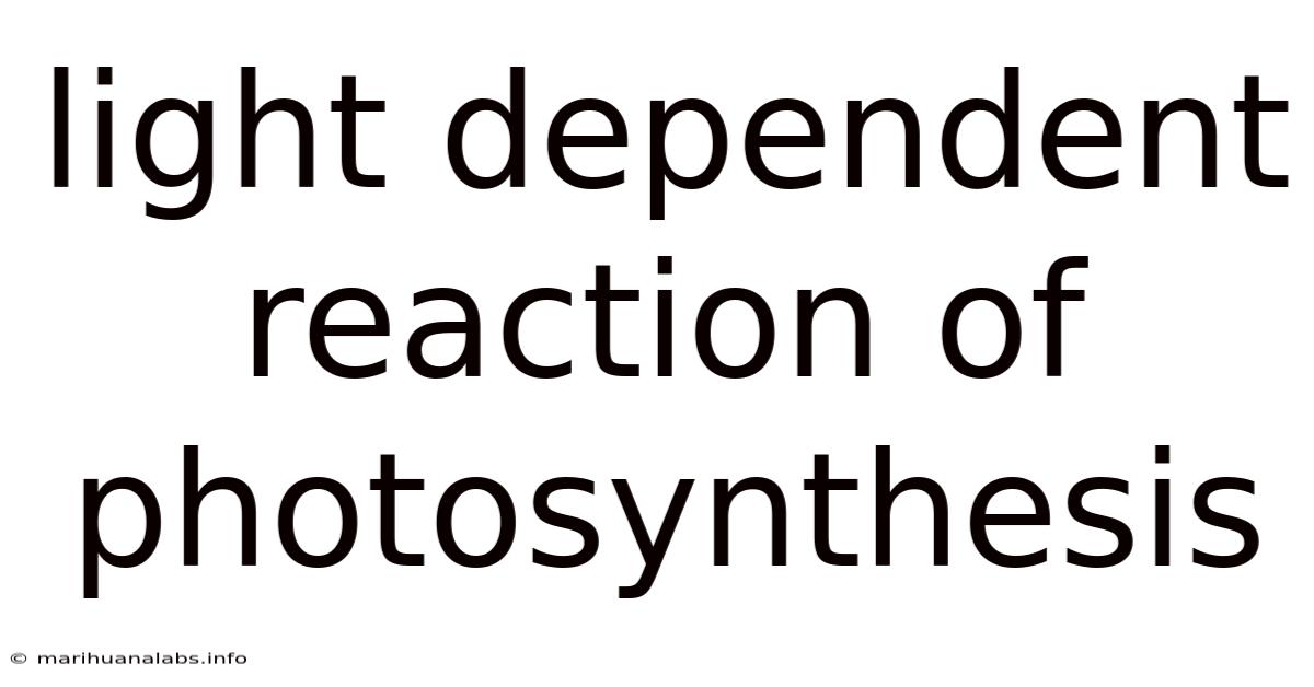 Light Dependent Reaction Of Photosynthesis