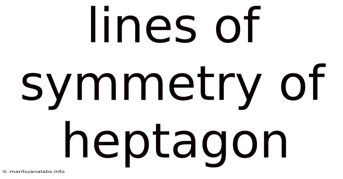 Lines Of Symmetry Of Heptagon