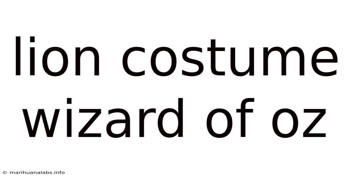 Lion Costume Wizard Of Oz