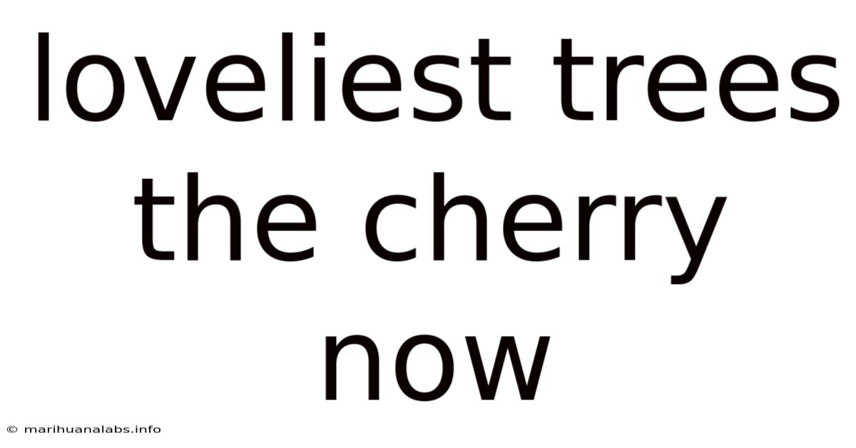 Loveliest Trees The Cherry Now