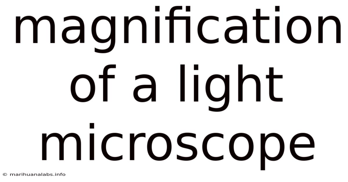 Magnification Of A Light Microscope