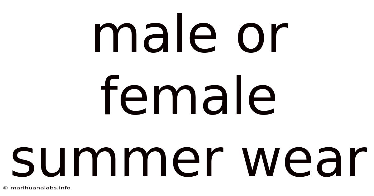 Male Or Female Summer Wear