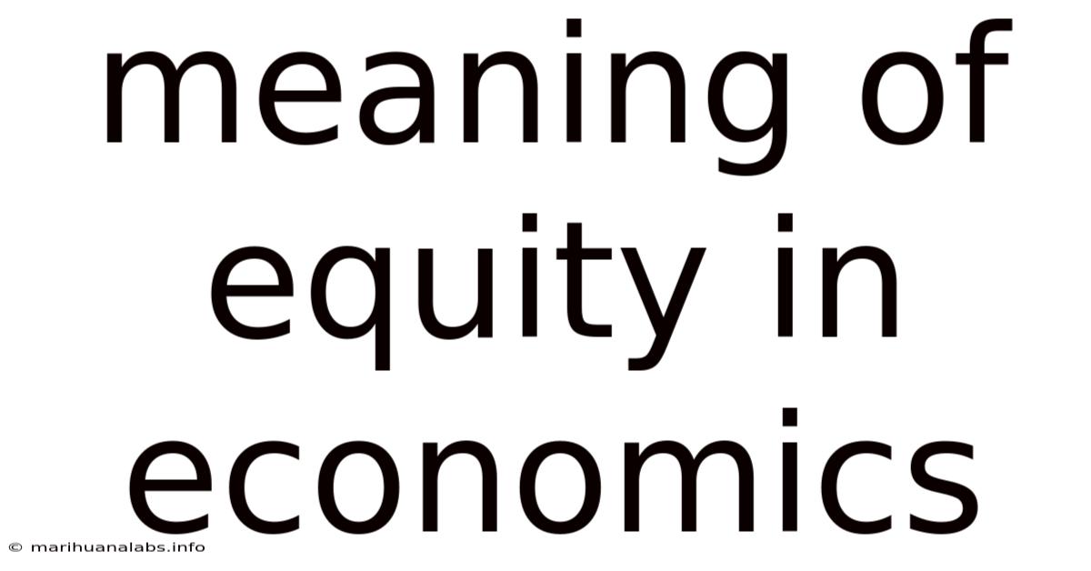 Meaning Of Equity In Economics