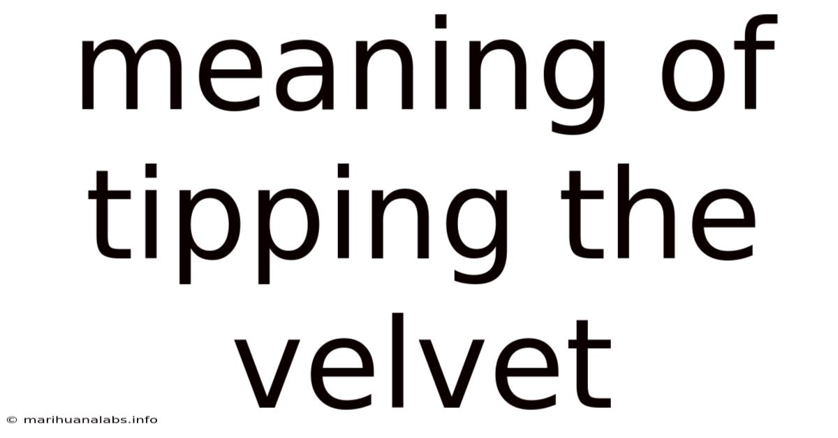 Meaning Of Tipping The Velvet