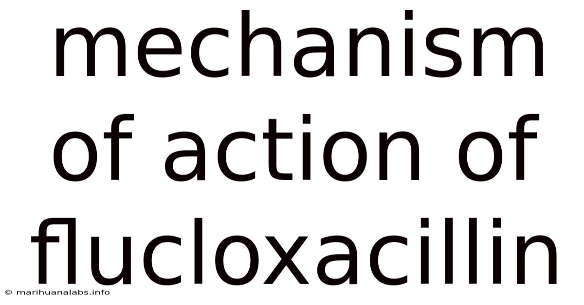 Mechanism Of Action Of Flucloxacillin