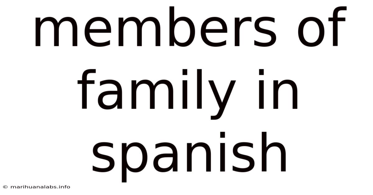 Members Of Family In Spanish