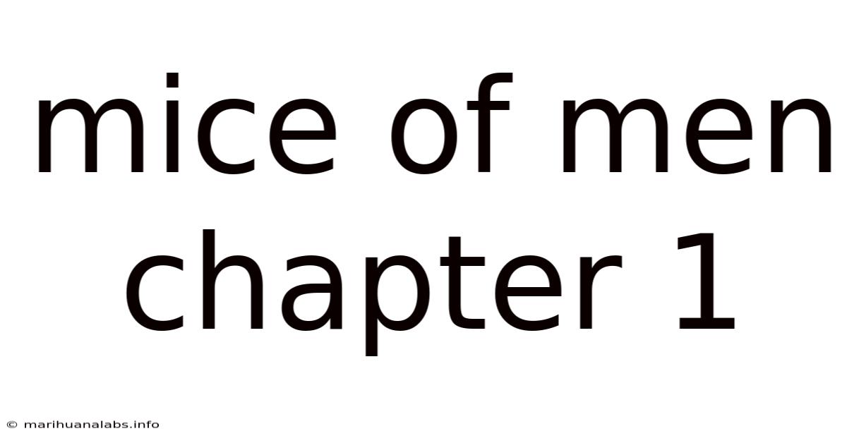 Mice Of Men Chapter 1