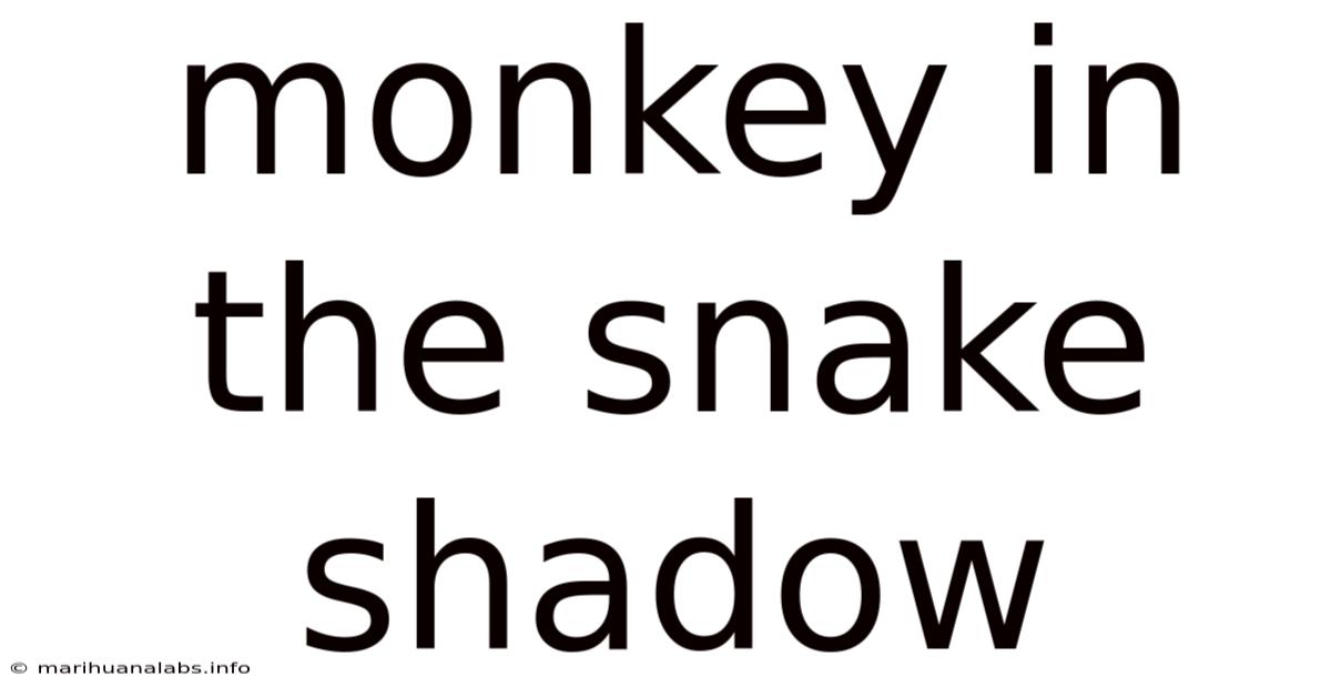 Monkey In The Snake Shadow