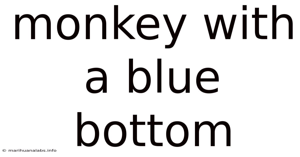 Monkey With A Blue Bottom