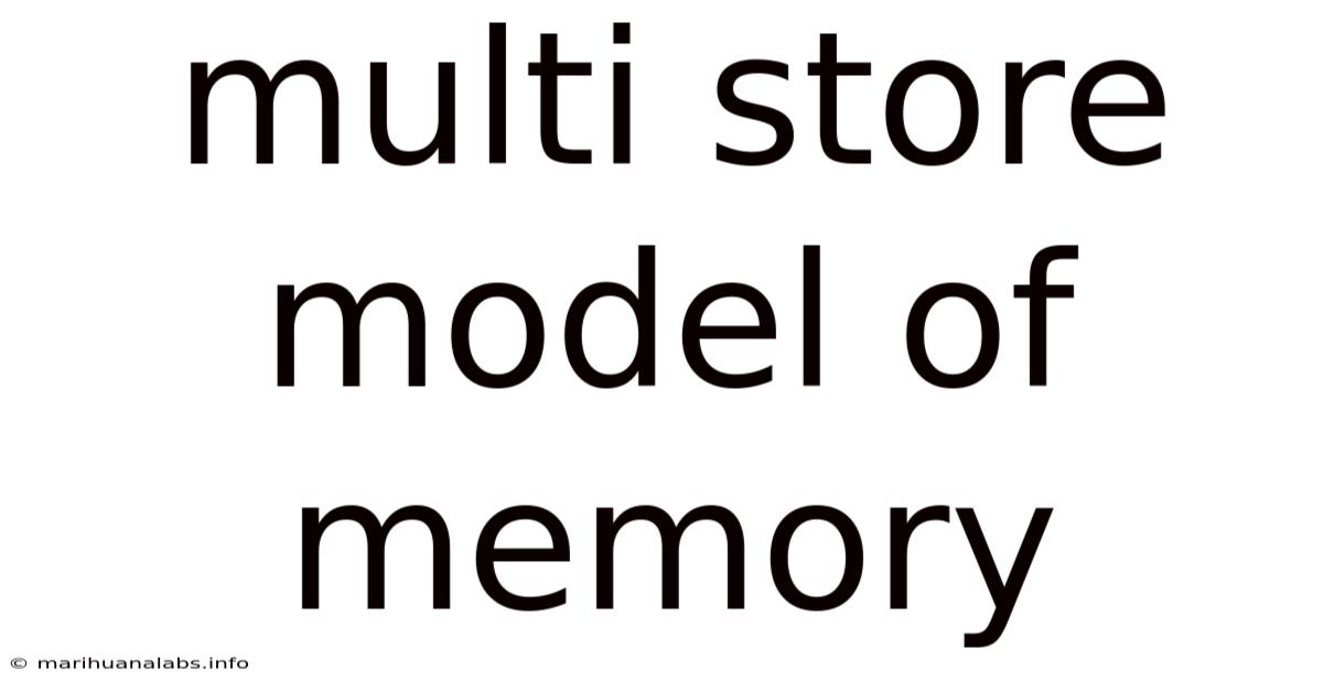 Multi Store Model Of Memory