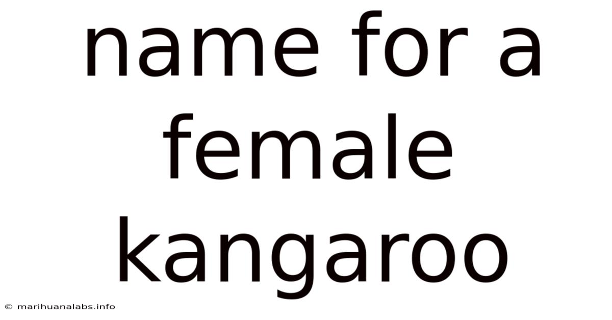 Name For A Female Kangaroo