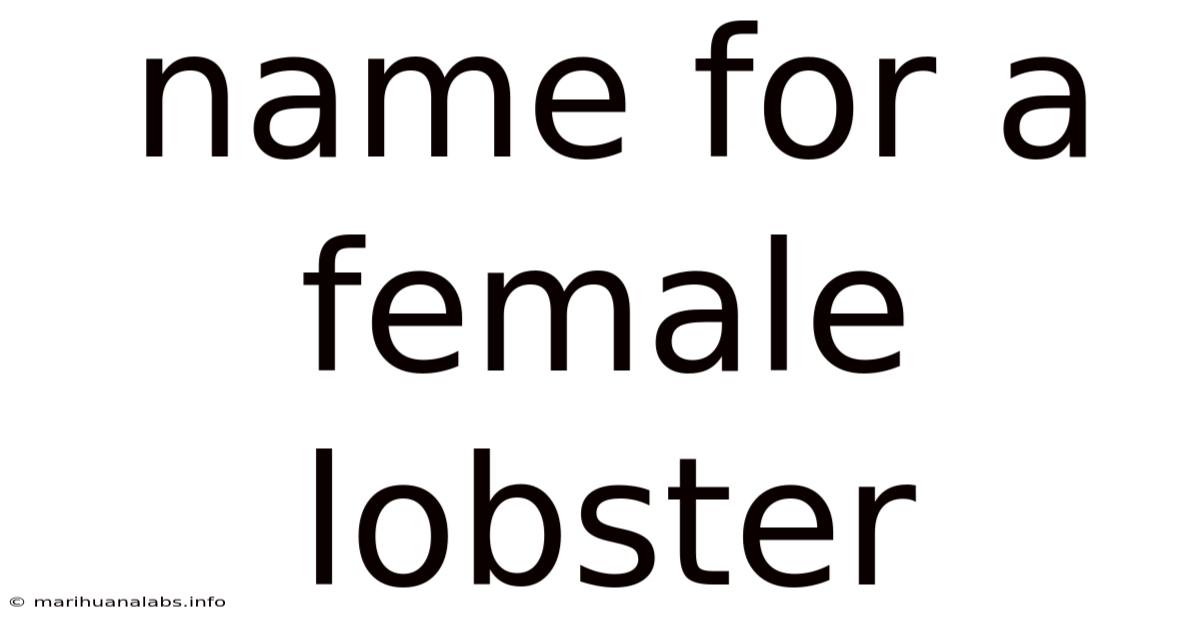 Name For A Female Lobster
