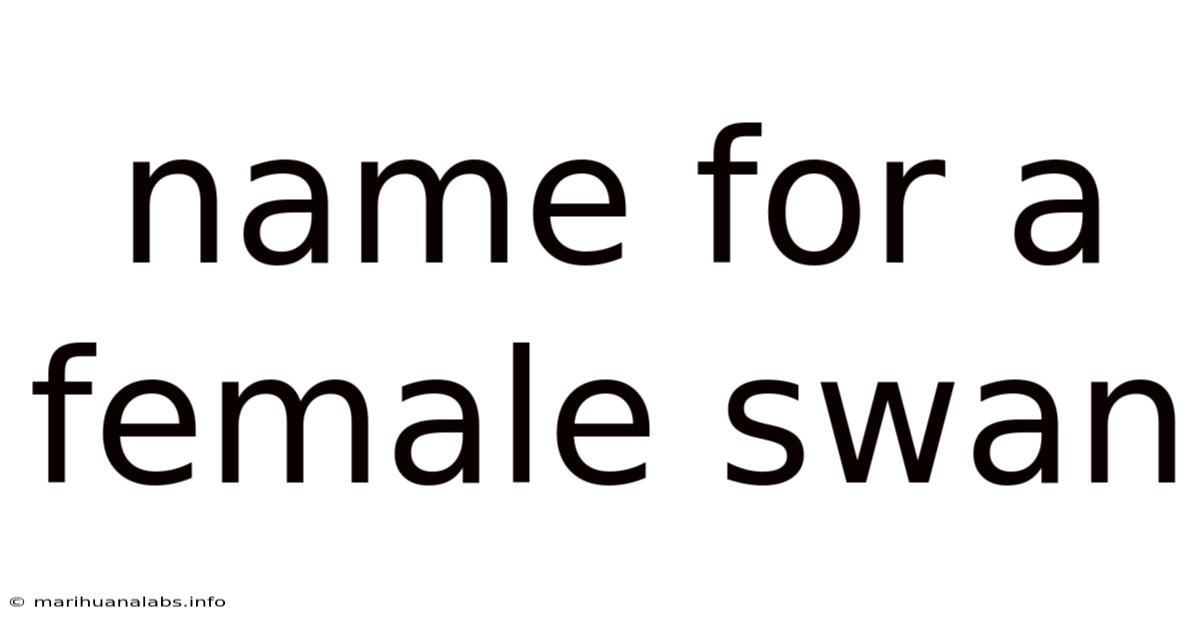 Name For A Female Swan