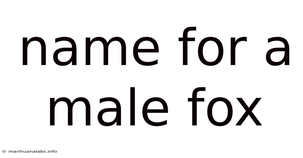 Name For A Male Fox