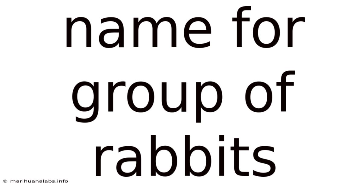 Name For Group Of Rabbits